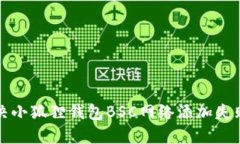 如何解决小狐狸钱包BSC网络添加失败的问题