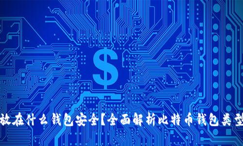 比特币存放在什么钱包安全？全面解析比特币钱包类型及安全性